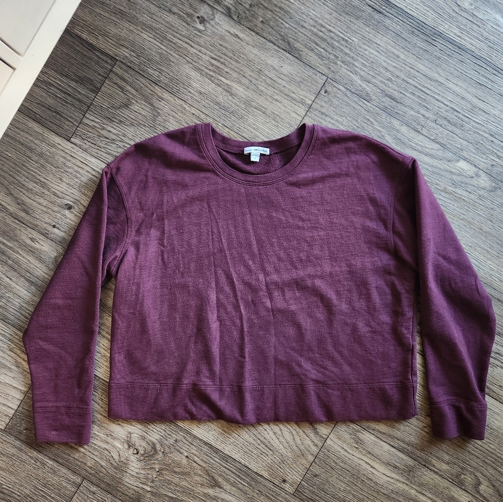 James Perse Standard Purple Crewneck Long Sleeved Top Size 1